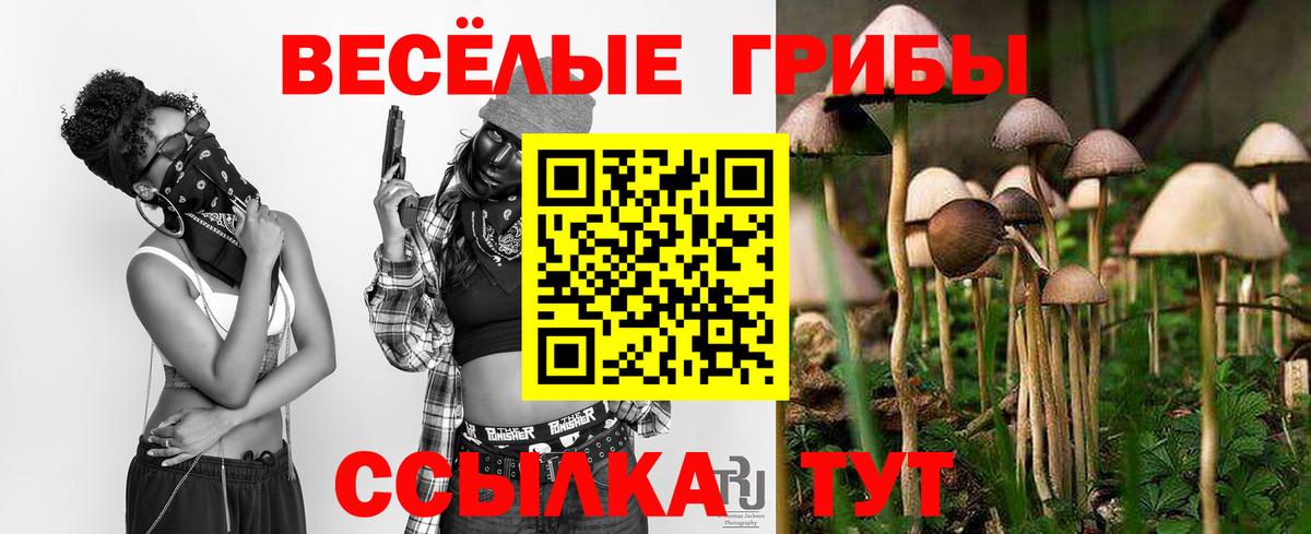 Изобильный  где купить наркотик  Вход с VPN  Галлюциногенные грибы Cubensis 